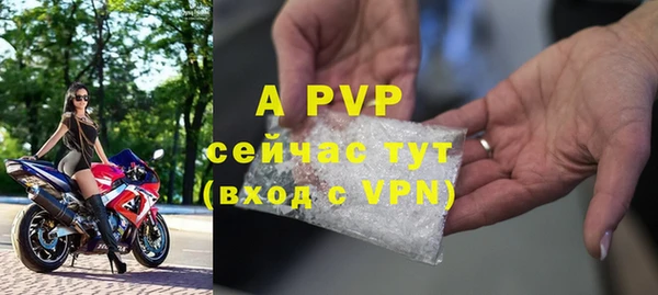 амф Алексин